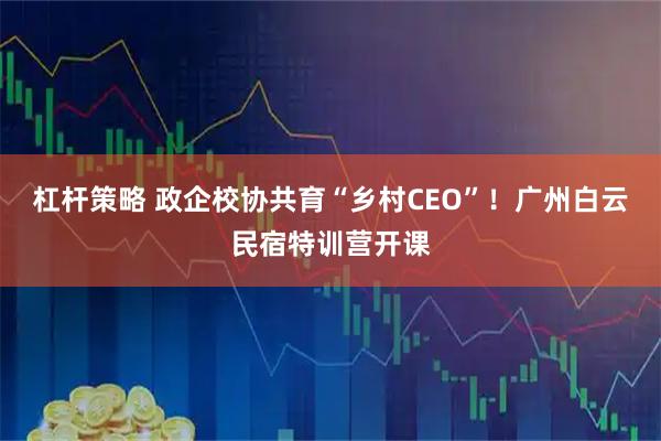 杠杆策略 政企校协共育“乡村CEO”！广州白云民宿特训营开课
